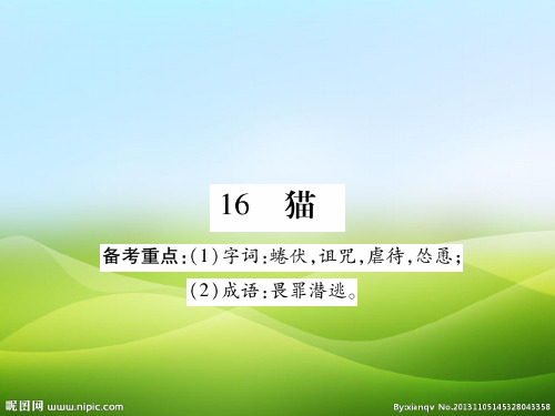 人教版七年级语文上册课件：16 猫(共45张PPT)(优质版推荐)