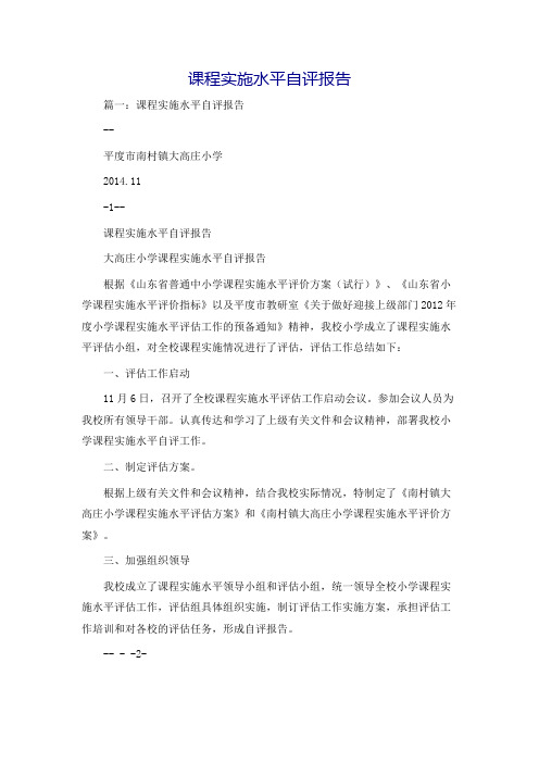 课程实施水平自评报告