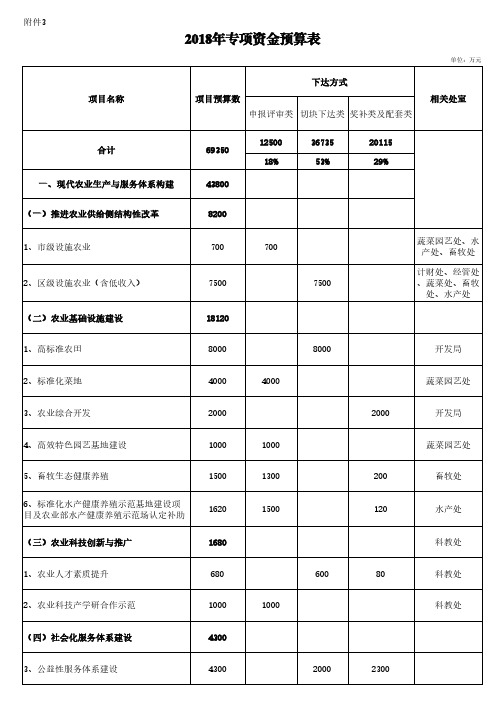 2018年专项资金预算表