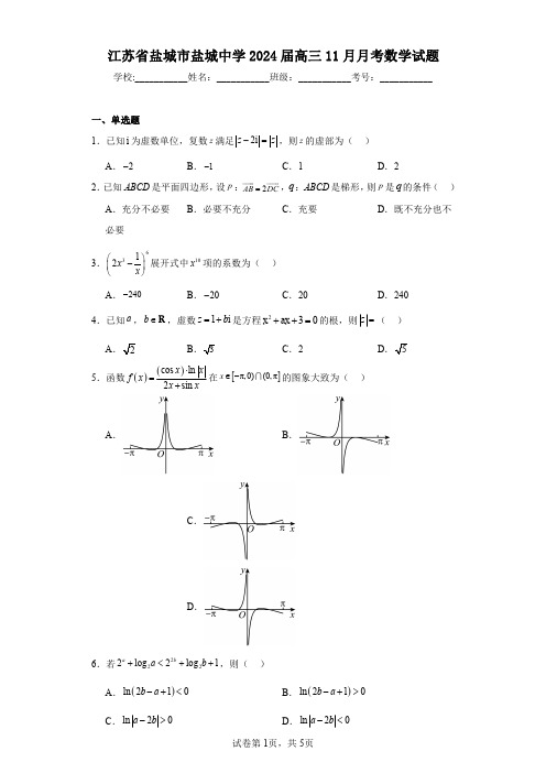 江苏省盐城市盐城中学2024届高三11月月考数学试题