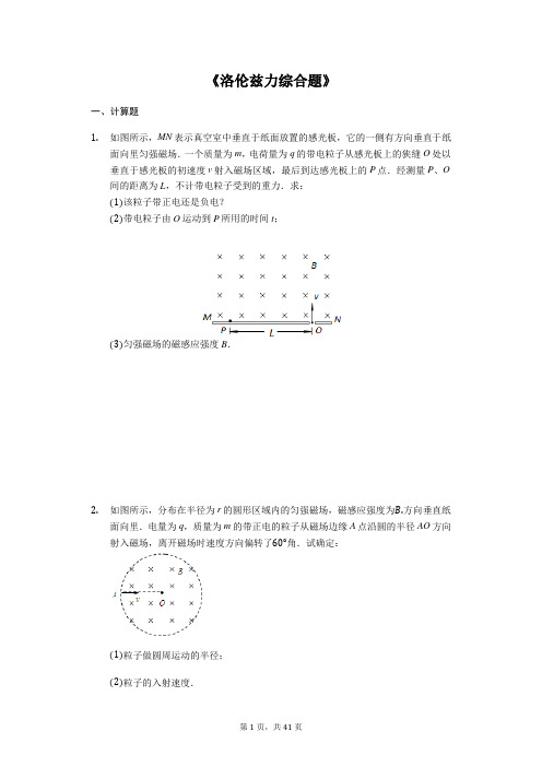 高考物理计算题复习《洛伦兹力综合题》(解析版)