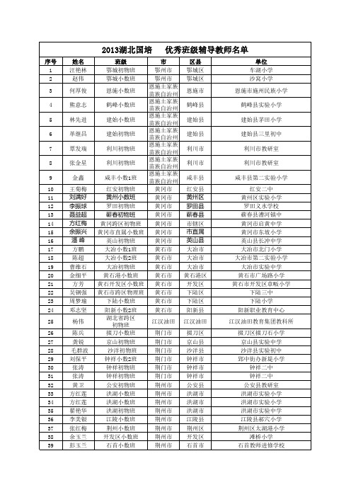 优秀辅导老师(2)