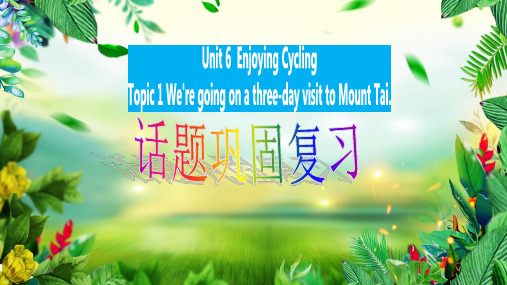 仁爱版英语八年级下册unit 6 topic 1 基础巩固复习 课件(共25张ppt)