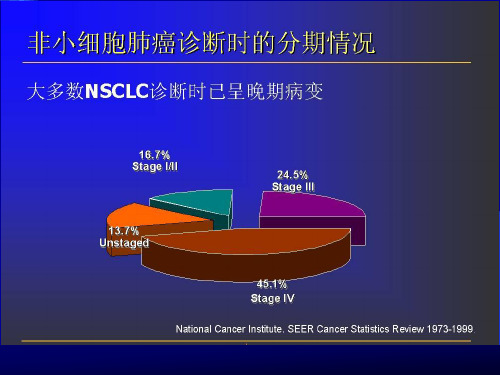 NSCLC非小细胞肺癌进展课件