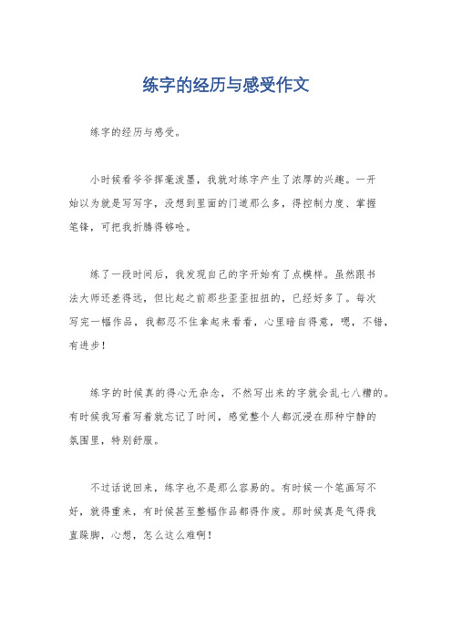 练字的经历与感受作文