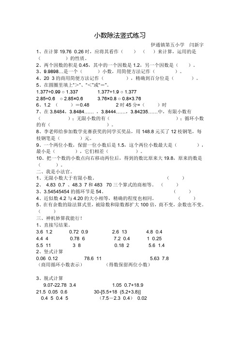 小数除法竖式练习人教版五上-闫新宇