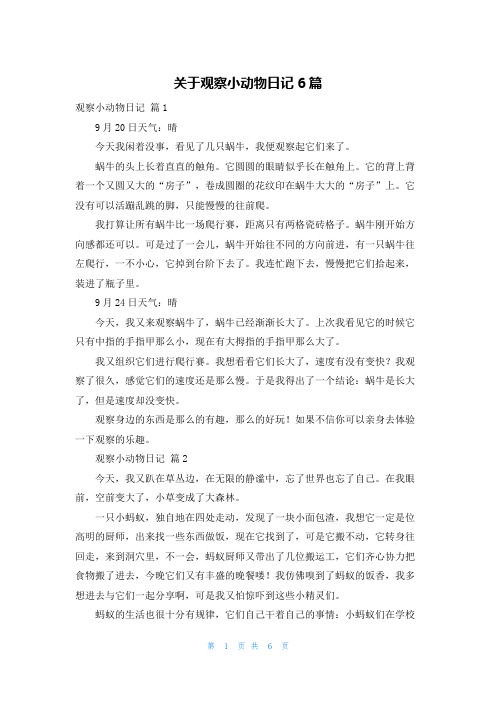 关于观察小动物日记6篇