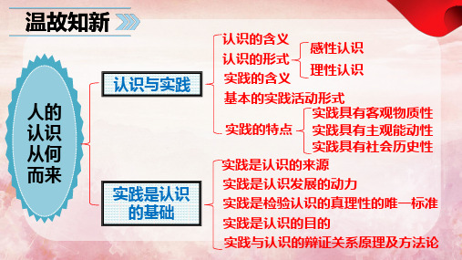 4.2+在实践中追求和发展真理+课件-2024-2025学年高中政治统编版必修四哲学与文化