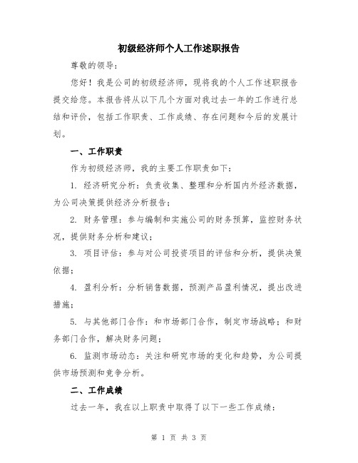 初级经济师个人工作述职报告