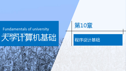 大学计算机基础——Windows 10+Office 2016 第10章 程序设计基础