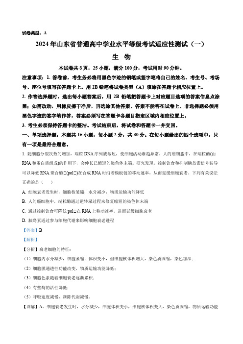 精品解析：2024年山东省普通高中学业水平等级考试适应性测试(一)生物试题(解析版)