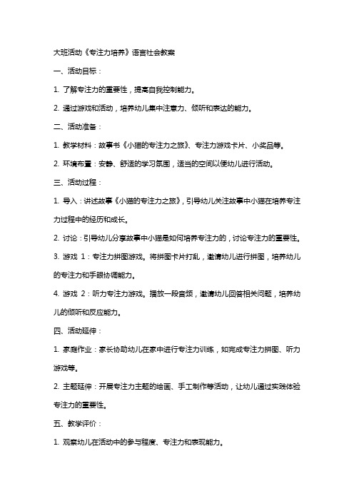 大班活动《专注力培养》语言社会教案