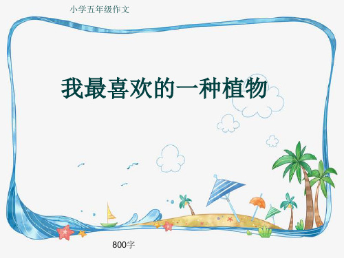 小学五年级作文《我最喜欢的一种植物》800字(共12页PPT)