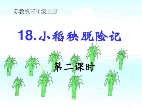 新苏教版三年级语文上册18小稻秧脱险记课件