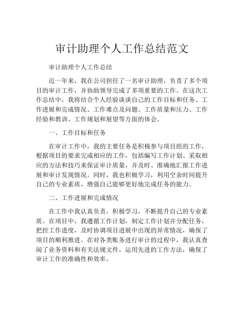 审计助理个人工作总结范文 (2)