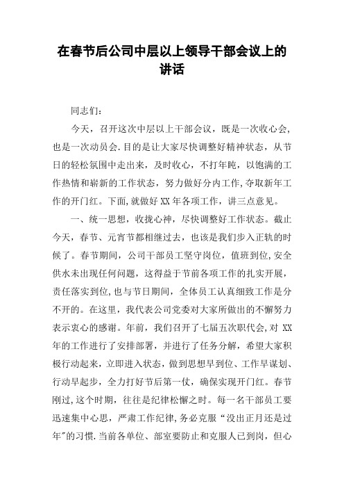在春节后公司中层以上领导干部会议上的讲话
