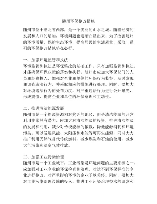 随州环保整改措施