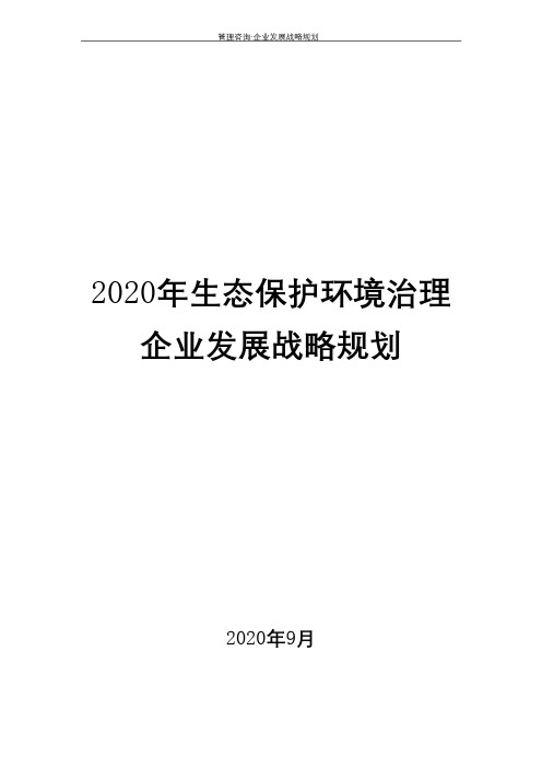 2020年生态保护环境治理企业发展战略规划( word 可编辑版)