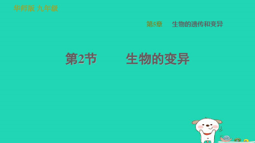 科学下册第5章生物的遗传和变异2生物的变异习题课件新版华东师大版