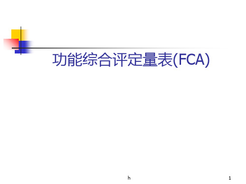 功能综合评定量表(FCA)