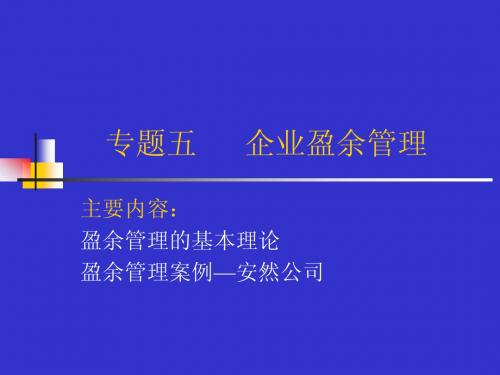 专题5 盈余管理