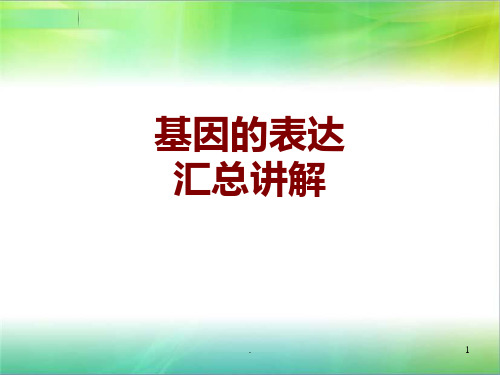 基因的表达汇总讲解PPT课件