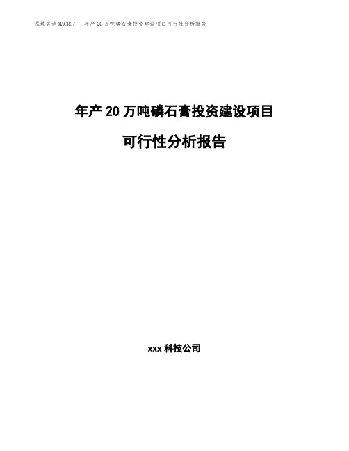 新建年产20万吨磷石膏投资建设项目可行性分析报告参考范文