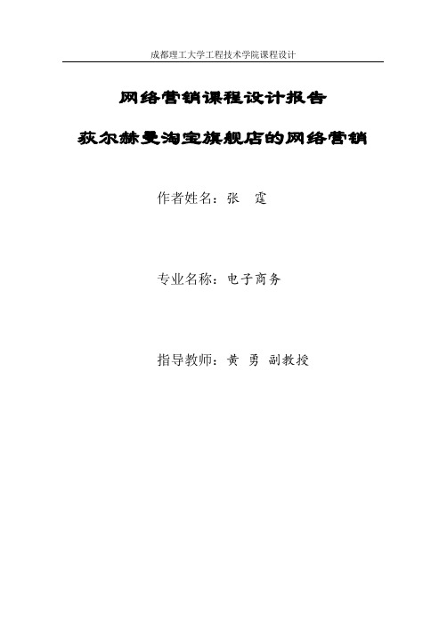 网络营销课程设计报告(关于淘宝网店的营销推广)