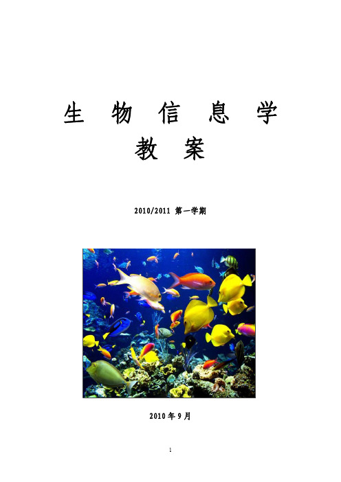 生物信息学教案