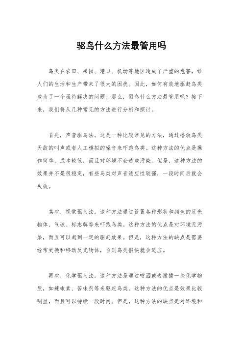 驱鸟什么方法最管用吗