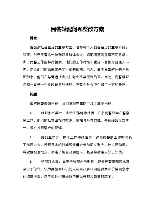 民警婚配问题整改方案