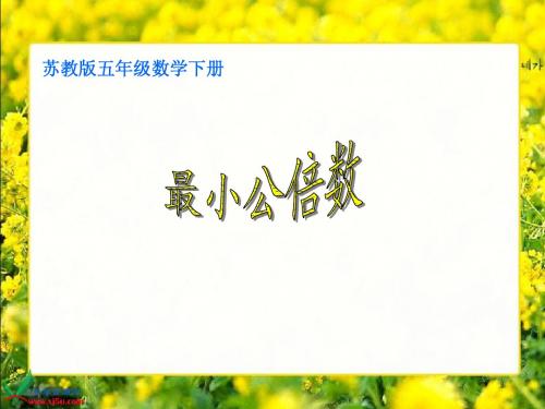 (苏教版)五年级数学下册课件 最小公倍数 6