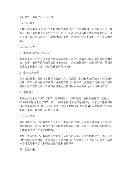 苯胺生产工艺实习报告