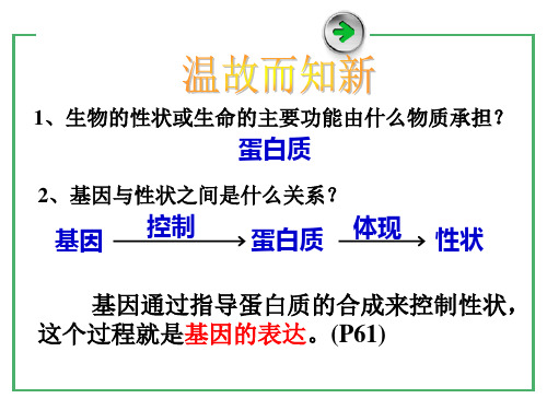 4.1 基因指导蛋白质的合成