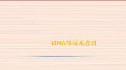 DNA的技术应用  ppt课件