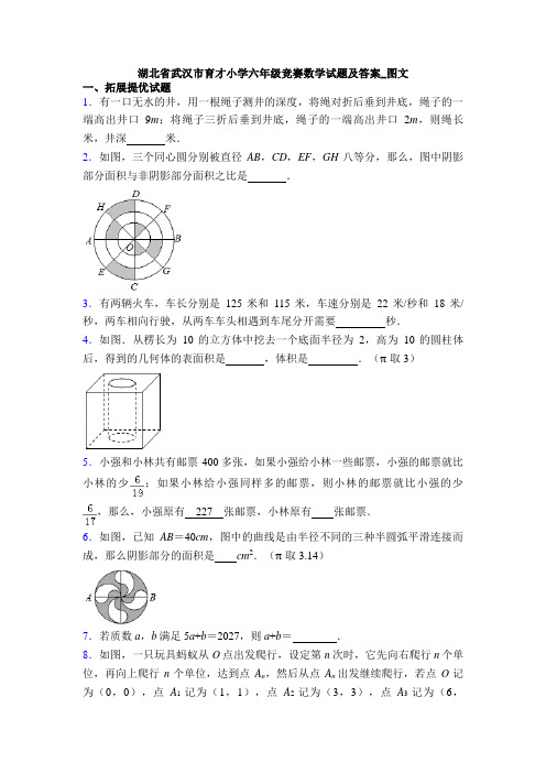 湖北省武汉市育才小学六年级竞赛数学试题及答案_图文