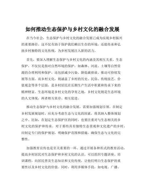 如何推动生态保护与乡村文化的融合发展