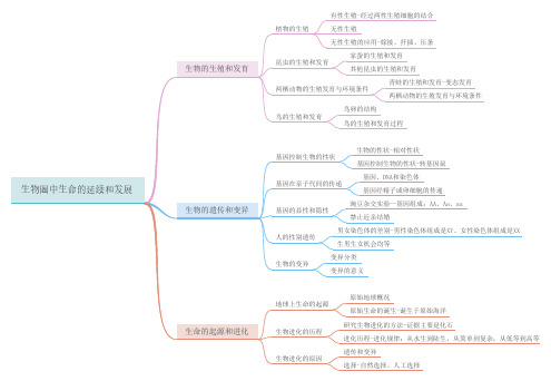 生物圈中生命的延续和发展思维导图
