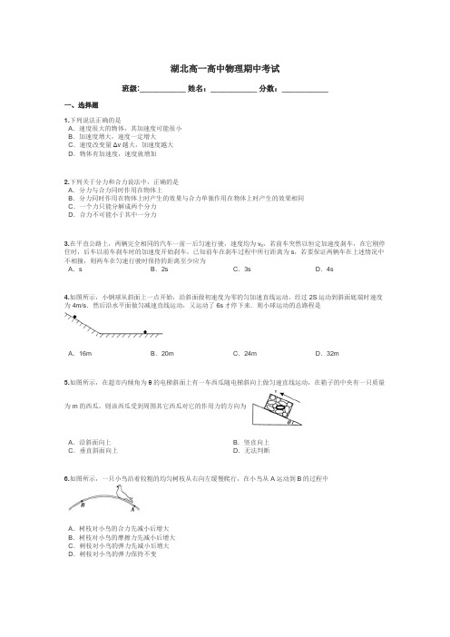 湖北高一高中物理期中考试带答案解析
