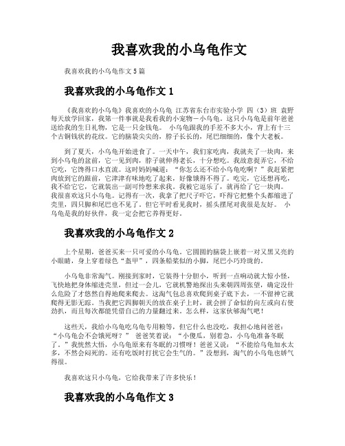 我喜欢我的小乌龟作文