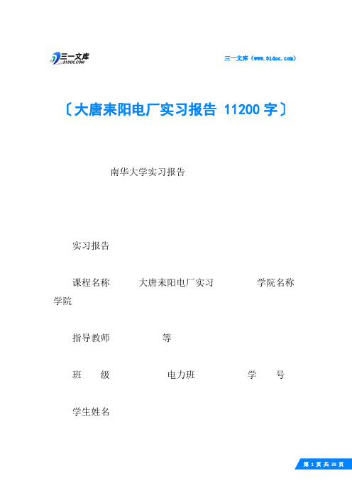 大唐耒阳电厂实习报告 11200字