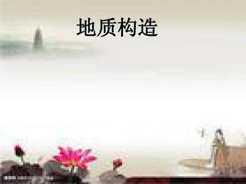 第三组地质构造