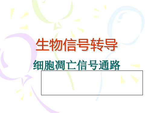 细胞凋亡信通路详细与总结