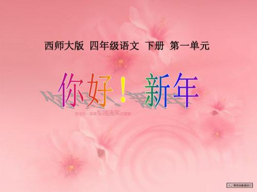 《你好!新年》PPT课件2 (共17张PPT)