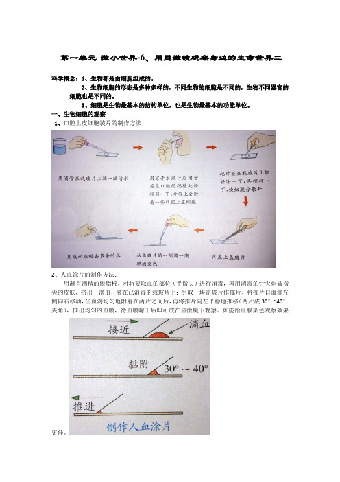 科教版 小学六年级下册 第一单元 6 用显微镜观察身边的生命世界