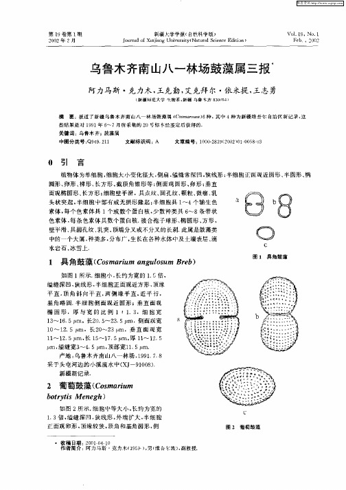 乌鲁木齐南山八一林场鼓藻属三报