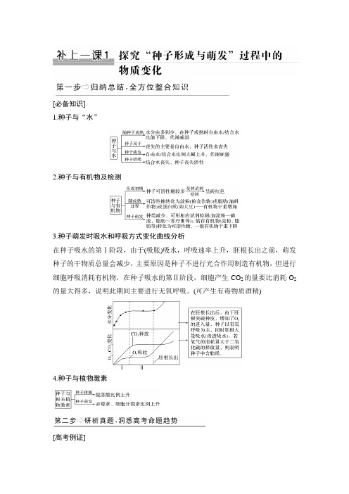 补上一课1 探究“种子形成与萌发”过程中的物质变化