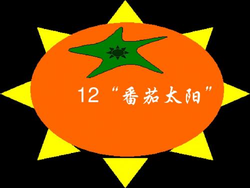 12番茄太阳(完整版)