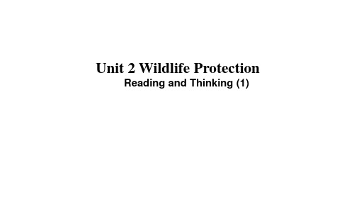 人教版 高一英语 必修第二册  Unit2 Reading and Thinking(1)-课件