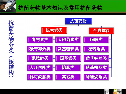 抗菌药物基本知识及常用抗菌药物